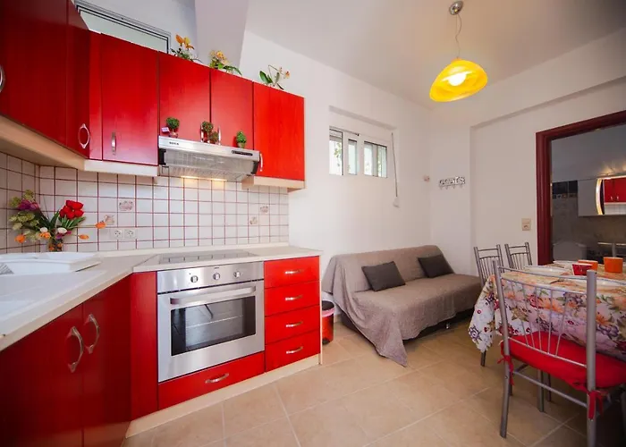 Stegnailion * 아크앤젤로스