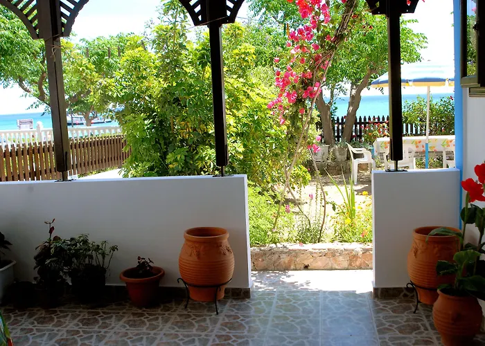 아파트 Stegnailion *