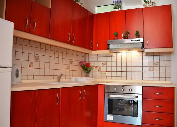 Stegnailion * 아크앤젤로스