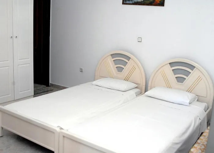 Stegnailion * أرخانجلوس