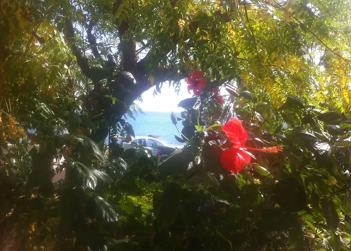 Apartamento Stegnailion Archangelos (Rhodes)