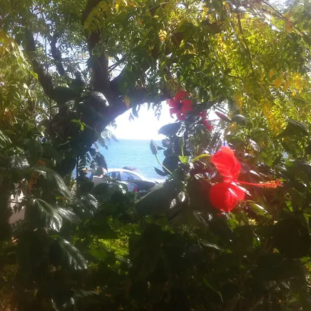 Lägenhet Stegnailion Archangelos (Rhodes)